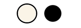 Bag color image