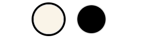 Bag color image