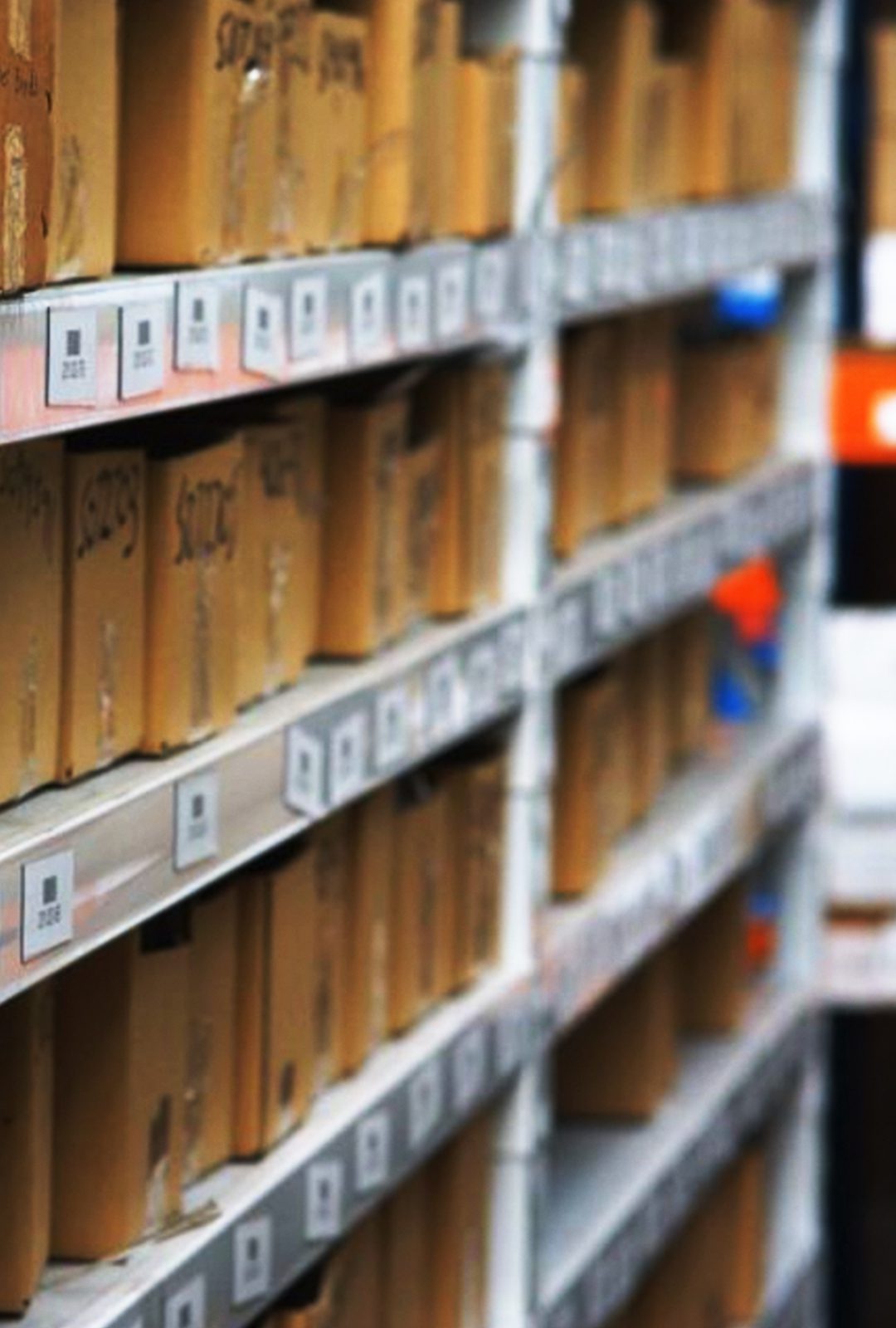 Organic Wholesale Clothing | industry 2 warehouse